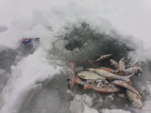 20180122_094939.jpg