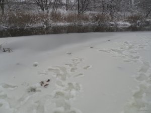 SAM_3670.JPG