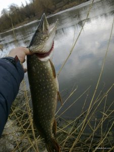 7386330D-0EB1-4435-BC49-7CD9ACE72C73.jpeg