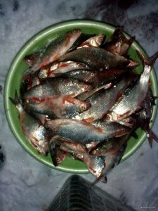 IMG_20180123_163905.jpg