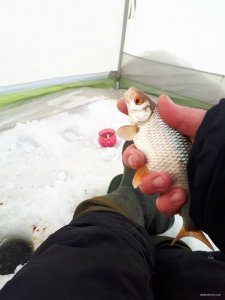 20180123_091548.jpg