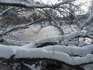 SAM_3680.JPG
