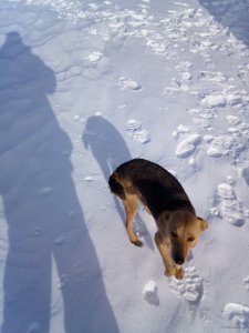 IMG_20180124_110013.jpg