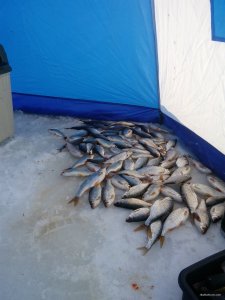 IMG_20180125_145909.jpg