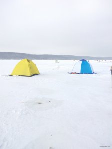 IMG_20180125_114801.jpg