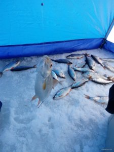 IMG_20180125_120743.jpg