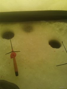 20180127_104514.jpg