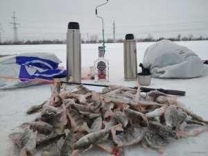 IMG_20180126_151734.jpg