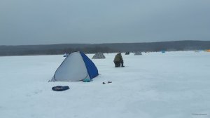 20180127_082212.jpg