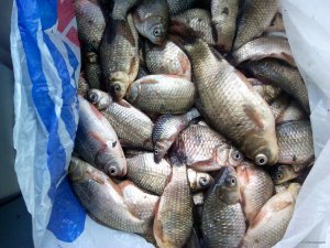 IMG_2018-01-28_084715.jpg