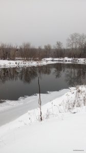 IMG_20180128_075844.jpg