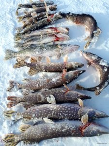 20180127_131632.jpg