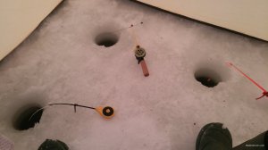 IMG_20180127_081149.jpg