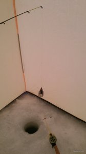IMG_20180127_120539.jpg