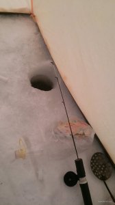 IMG_20180127_115111.jpg