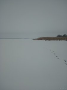 IMG_20180126_082945.jpg