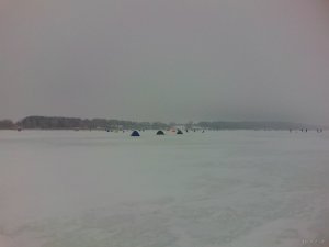 IMG_20180128_075416.jpg