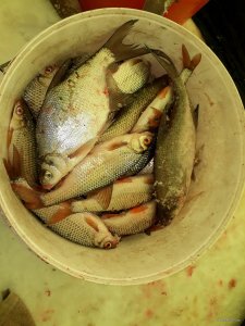 20180127_151201.jpg