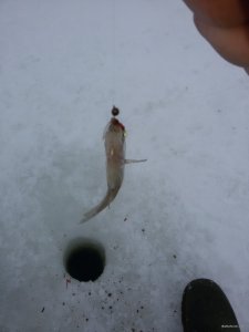 20180127_092538.jpg