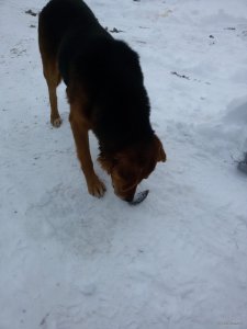 20180128_144719.jpg