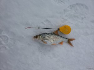 20180128_133538.jpg