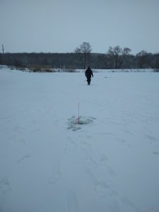 IMG_20180128_131911.jpg