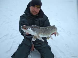 IMG_20180128_132113.jpg
