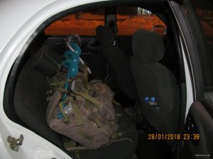 IMG_4909.JPG