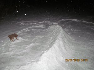 IMG_4931.JPG