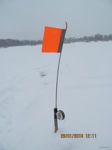 IMG_4934.JPG