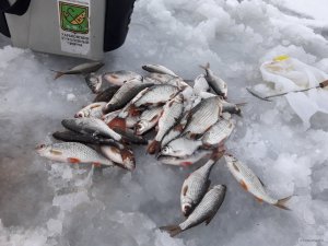 20180129_161212.jpg