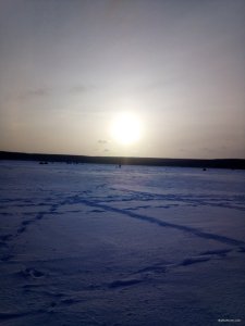 IMG_20180127_152052.jpg