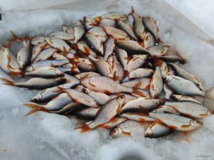 IMG_2018-01-29_143228.jpg