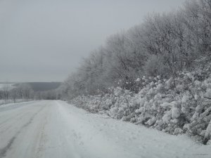 DSC09903.JPG