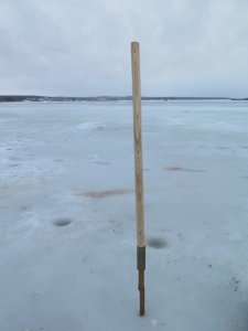 IMG_8439.JPG