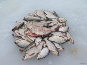 IMG_8468.JPG