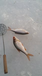 20180201_070629.jpg