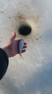 20180201_140430.jpg