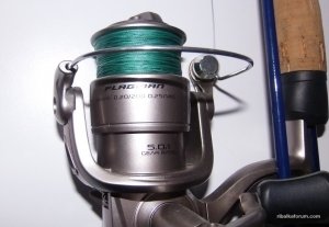 P4040201.JPG