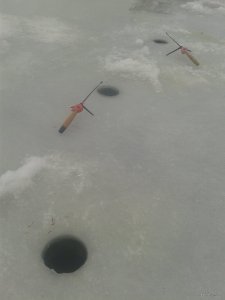 20180202_114929.jpg