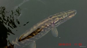 CIMG6306.JPG