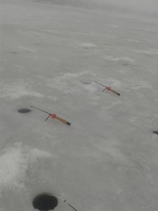 20180203_143210.jpg