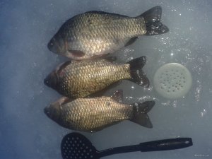 20180203_163622.jpg