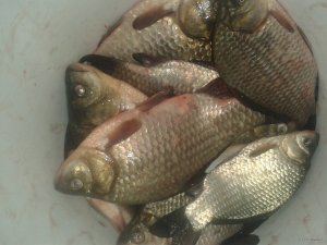 20180203_163629.jpg
