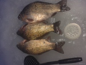 20180203_163640.jpg