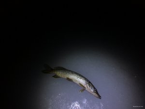 IMG_7672.JPG