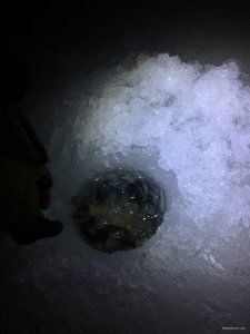 IMG_7674.JPG