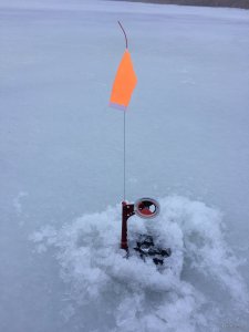 IMG_7676.JPG