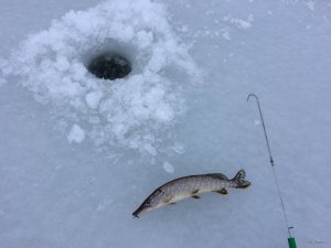 IMG_7677.JPG