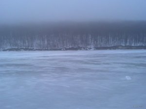 IMG_20180203_065723_804[1].jpg
